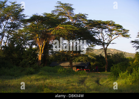 Ol Kinyei Conservancy Camp. In der Nähe von Masai Mara. Kenia, Afrika. Stockfoto