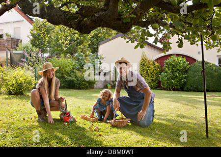 Eltern und Tochter pflücken Äpfel zusammen im Garten, München, Bayern, Deutschland Stockfoto