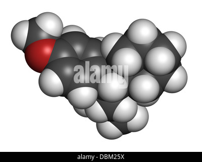 Antidepressivum Venlafaxin (SNRI Klasse), chemische Struktur. Atome werden als Kugeln mit herkömmlichen Farbe dargestellt. Stockfoto