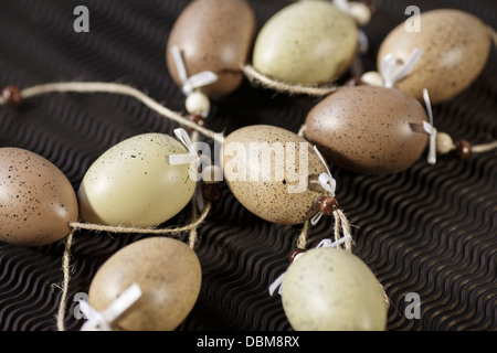 Eiern, Osijek, Kroatien, Osteuropa Stockfoto