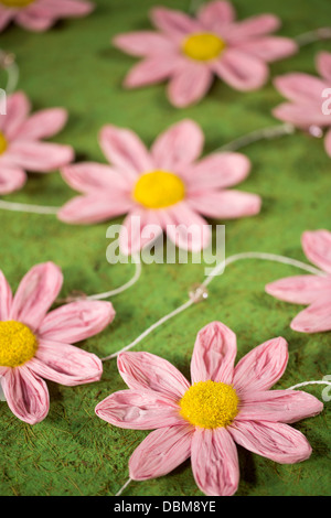 Blumen, Osijek, Kroatien, Europa Stockfoto