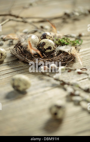 Ostereier im Nest, Osijek, Kroatien, Europa Stockfoto