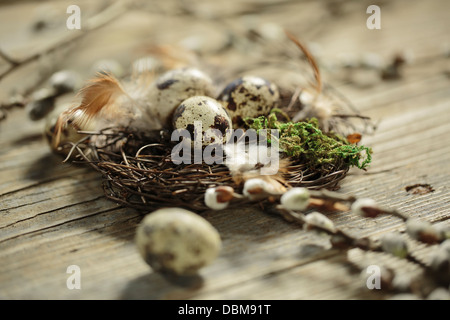 Ostereier im Nest, Osijek, Kroatien, Europa Stockfoto