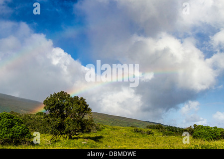 Doppelter Regenbogen auf der Autobahn Piilani auf der Insel Maui in Hawaii. Stockfoto