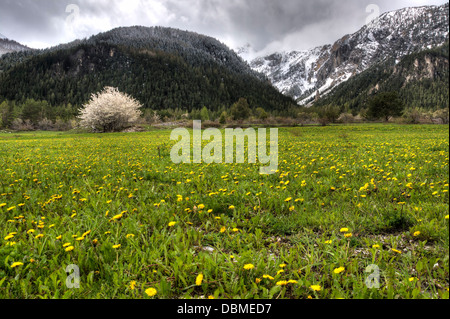 Frühjahr gegen Winter in einem italienischen Alpen Stockfoto