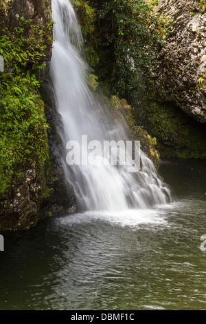 "Upper Hanawi Falls" auf der "Road to Hana" auf der Insel Maui in Hawaii. Stockfoto