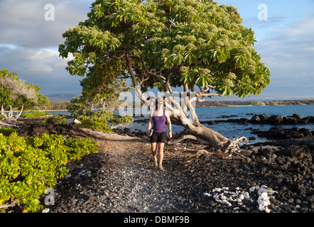 Frau untersucht des Königs Highway, ein Küstenweg in Waikoloa auf der Big Island von Hawaii von Anaehoomalu Bay Stockfoto