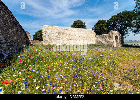 Ruinen von la Porte Guillaume Saint Valery Sur Somme-Picardie-Nord-Frankreich-Europa Stockfoto