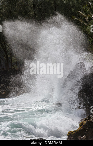 Brechenden Wellen auf Lavafelsen am Strand auf Keanae Halbinsel, auf der Insel Maui in Hawaii. Stockfoto