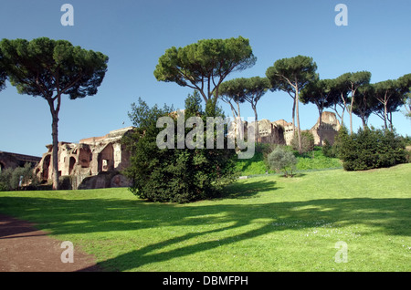 Palatin-Hügel im Forum Romanum, Rom, Italien Stockfoto