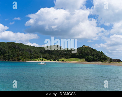 dh Roberton Insel Bucht der Inseln Neuseeland Segeln Yacht in der Bucht Motuarohia Insel verankert Stockfoto