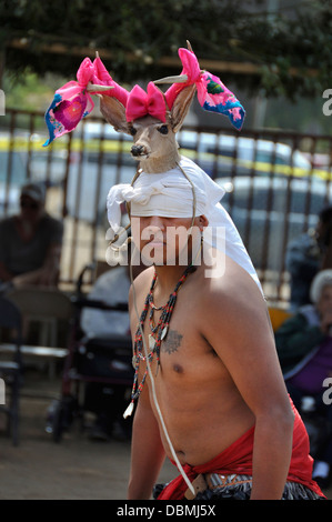 Cupa Day Festival, Pala-Indianer-Reservat, Yaqui Hirsch Tänzer Stockfoto