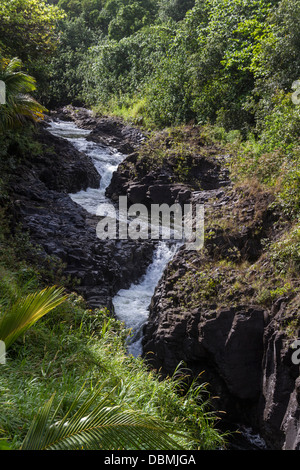 "Sieben sacred Pools" oder Ohe'o Gulch auf der "Road to Hana" auf der Insel Maui in Hawaii. Stockfoto