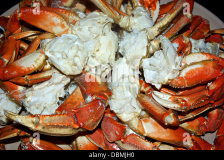 Große Platte gekocht Dungeness Krabbe in der Shell Hälften Westküste Vancouver Island aufgebrochen zu behandeln Stockfoto