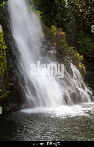 "Upper Hanawi Falls" auf der "Road to Hana" auf der Insel Maui in Hawaii. Stockfoto