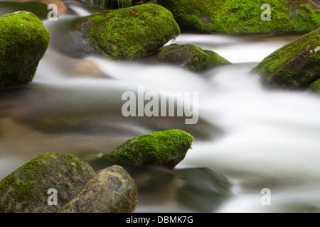 Seidige Wasser und Moos bedeckt Felsen entlang der Great Smoky Mountains National Park Roaring Forks Motor. Stockfoto