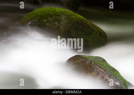 Seidige Wasser und Moos bedeckt Felsen entlang der Great Smoky Mountains National Park Roaring Forks Motor. Stockfoto