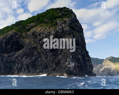 dh Piercy Island BAY OF ISLANDS NEW ZEALAND Motukokako Island Felsklippen felsige Meeresküste Stockfoto