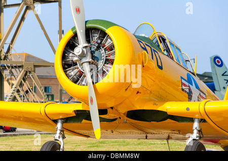 Nahaufnahme der Nase eine North American T6 Texan zeigt die Zylinder des Motors Radialkolben Stockfoto