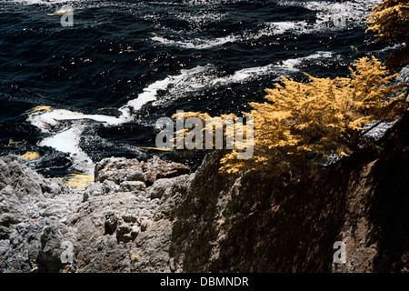 McWay Falls bei McWay Cove, Julia Pfeiffer Burns State Park, Big Sur, Kalifornien, USA Stockfoto