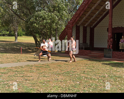 dh Waitangi Treaty Grounds BAY OF ISLANDS NEW ZEALAND Maoris begrüßen Maori Treffen Haus Schnitzereien Tanz Stamm haka Menschen Krieger willkommen Stockfoto