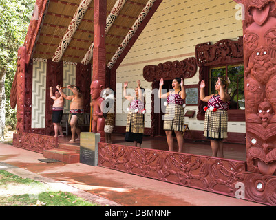 dh Waitangi Vertragsgrund BAY OF ISLANDS NEW ZEALAND NZ Maoris grüßen Te Whare Runanga Maori haka heißen Menschen willkommen marae Herkömmliche Leistung Stockfoto
