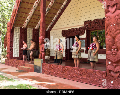 dh Waitangi Vertragsgrund BAY OF ISLANDS NEW ZEALAND Maoris Begrüßung Whare Runanga Maori Treffen Haus Schnitzereien Menschen marae nz Willkommenskultur Stockfoto