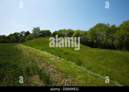 Uley Long Barrow (Hetty Pegler Tump) in der Nähe von Uley, Gloucestershire, UK Stockfoto