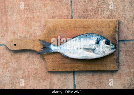 Aus Dorade Fisch (Dourada oder Sparus Aurata) auf dem Schneidebrett Stockfoto