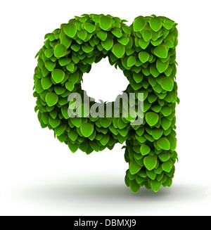 Blätter Schrift Buchstaben Q Kleinbuchstaben Stockfoto