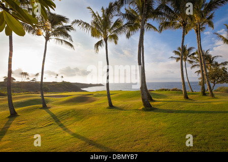 Spektakuläre, tropischen Insel Golfplatz Loch im dramatischen frühen Morgenlicht. Das Grün ist von Palmen und einem Sandfang beringt. Stockfoto