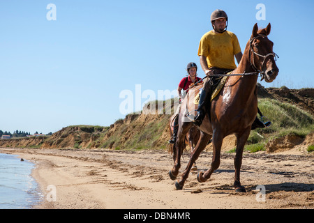 Paar am Strand Reiten, Pferde, Dalmatien, Kroatien, Europa Stockfoto