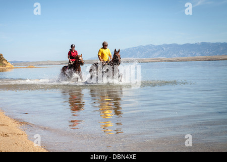 Reiten Sie im Meer, Kroatien, Dalmatien, Europa Stockfoto