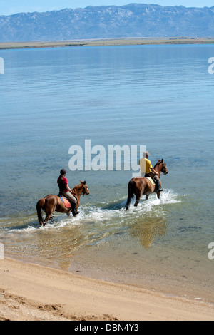 Paar Reiten am Strand, Kroatien, Dalmatien, Europa Stockfoto