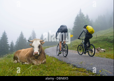 Mountainbiker, Schwangau-Bleckenau, Bayern, Deutschland Stockfoto