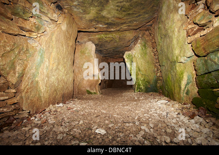 Innen Uley Long Barrow (Hetty Pegler Tump) in der Nähe von Uley, Gloucestershire, England, UK Stockfoto