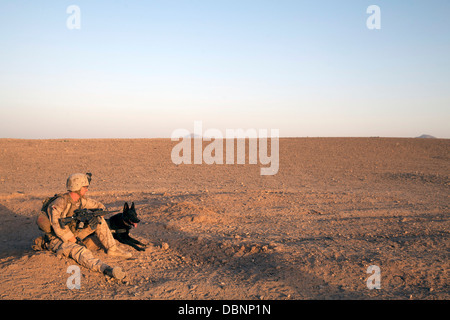 US Marine Corps CPL. Adam Cook ruht mit seinem Gebrauchshund, Falco, während einer Patrouille 23. Juli 2013 in Mohammad Abad, Provinz Helmand, Afghanistan. Stockfoto