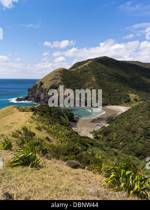 dh Sandy Bay CAPE REINGA Neuseeland Aupouri Peninsula Küste Seacliffs Landschaft Stockfoto