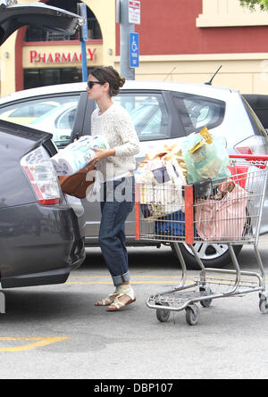 Rachel Bilson im Gleson Markt in Los Feliz Los Angeles, Kalifornien - 31.07.11 Stockfoto