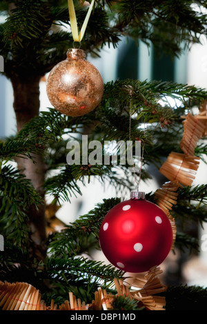 Weihnachtsdekoration, Kugeln im Baum, München, Bayern, Deutschland Stockfoto