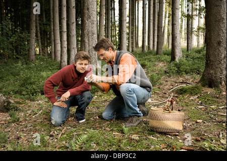 Vater und Sohn sammeln Pilze, Bayern, Deutschland, Europa Stockfoto