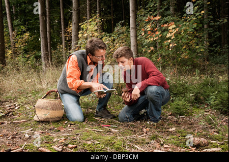 Vater und Sohn sammeln Pilze, Bayern, Deutschland, Europa Stockfoto