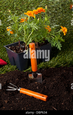 Garten Pflanzen Werkzeuge Stockfoto