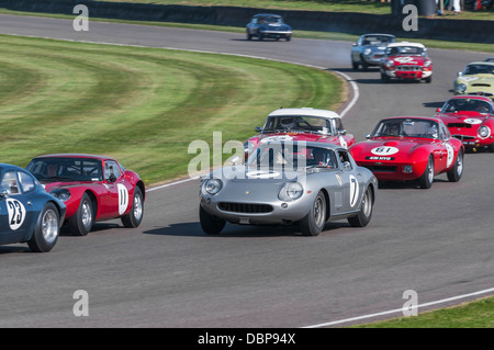 Ferrari 275GTB/C-Rennen ein Feld von Sport- und GT-Fahrzeuge auf dem Goodwood Revival 2012 Stockfoto