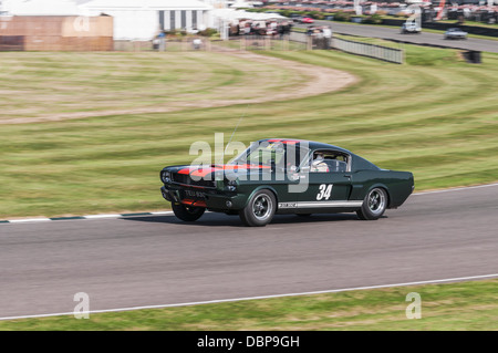 1965 ford Shelby Mustang GT350 beim Goodwood Revival 2012 Stockfoto