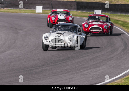 AC Cobras Würfeln im Shelby-Cup-Rennen auf dem Goodwood Revival 2012 Stockfoto