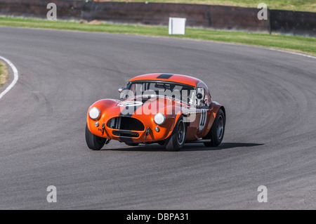 1964-AC Cobra beim Goodwood Revival 2012 Stockfoto