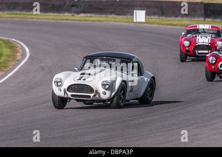 1962-AC Cobra beim Goodwood Revival 2012 Stockfoto