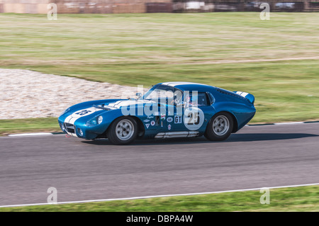 1964 Shelby American Daytona Coupe beim Goodwood Revival 2012 Stockfoto