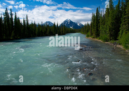 Whirlpool-Fluss, Jasper Nationalpark, Alberta, Kanada Stockfoto